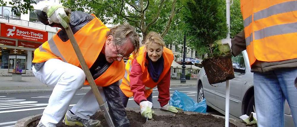 Die Gewerbegemeinschaft Kudamm-Halensee und der CDU-Ortsverband Grunewald-Halensee hübschen gemeinsam die Betonkübel am Kudamm auf.