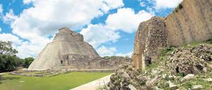 Versunkene Stadt. Bis vor wenigen Jahren war die alte Maya-Stadt Uxul im Regenwald verborgen. Heute suchen dort Forscher nach Spuren, die den Niedergang der alten Hochkultur erklären könnten. Foto: picture alliance/dpa