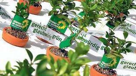 Da wächst Konkurrenz heran. Nach Klärung der Kandidatenfrage soll es bei den Grünen wieder aufwärtsgehen. Foto: dapd