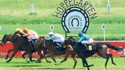 Titeljagd. Am Mittwoch geht es im Hoppegarten um Ruhm und viel Geld. Foto: dpa