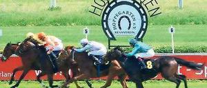 Titeljagd. Am Mittwoch geht es im Hoppegarten um Ruhm und viel Geld. Foto: dpa