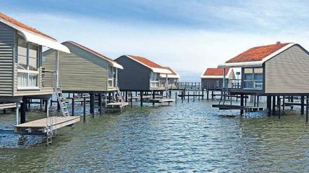 Was gluckst da? Es ist nur das Wasser unterm Ferienhaus. In der Marina Lauterbach auf Rügen liegen die Unterkünfte fest vertäut am Steg, abgetrieben wird niemand.