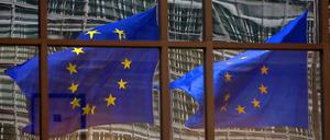 Der diesjährige Friedensnobelpreis geht an die EU.