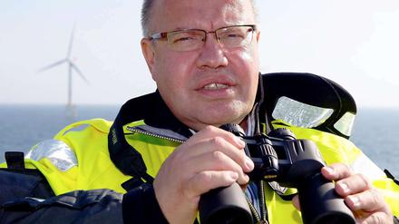 Peter Altmaier (CDU)