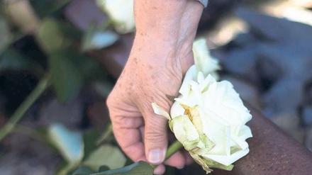 Inge Deutschkron legte am Gleis 17 eine weiße Rose nieder.