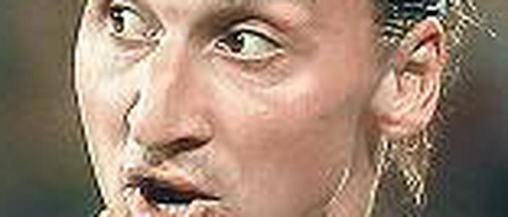 Schwedens Spiel lebt fast nur von Ibrahimovic.
