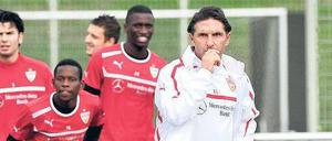 Irgendwo muss sich hier doch ein Heckenschütze versteckt haben. Trainer Bruno Labbadia kann sich seiner Anstellung beim VfB Stuttgart nicht sicher sein. Vor dem Spiel am Sonntag in Hamburg wird die Kritik an ihm im Klub immer lauter.