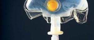 Foto: Rob Byron - Fotolia