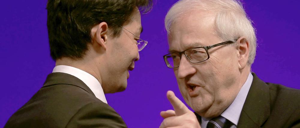 Noch bestimmt der Vorsitzende und nicht Rainer Brüderle den Kurs der FDP in den Verhandlungen im Koalitionskreis.