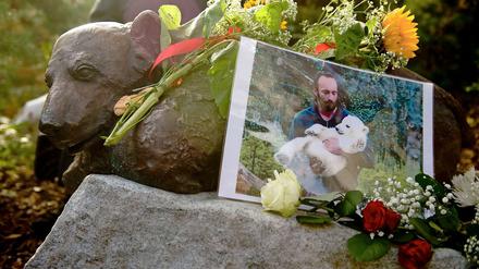 Das Knut-Denkmal liegt bescheiden auf dem Boden, statt auf einem Sockel zu glänzen.