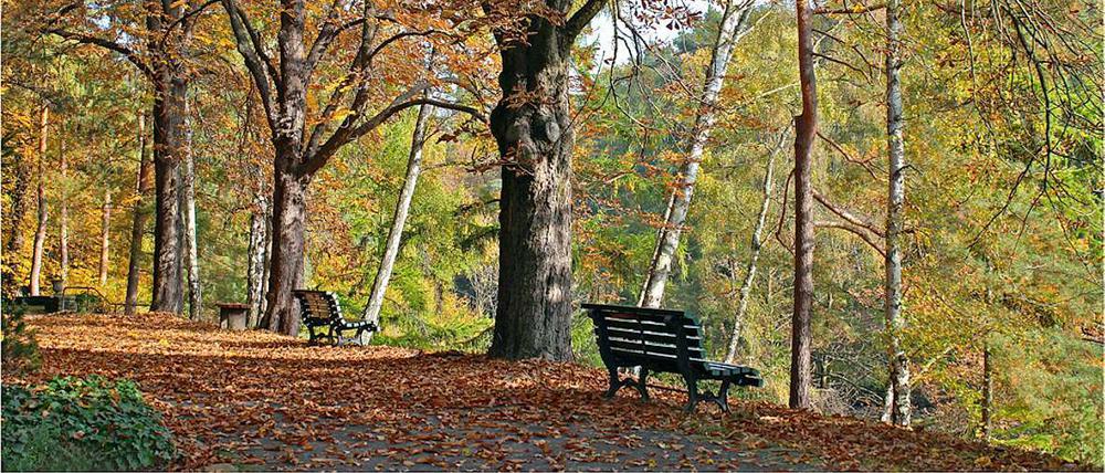 Ein Waldgrundstück - herrenlos?