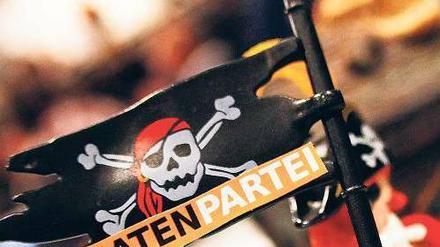 Basisdemokratischer Stil, amateurhafter Auftritt. Manches bei der Piratenpartei erinnert an die Frühphase der Grünen. 