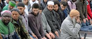 Salafisten beten in Bonn, unter ihnen der frühere Berliner Rapper Denis Cuspert (2.v.l.).