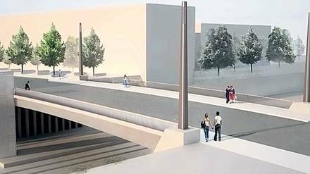 Wo führt sie hin? Und wer soll sie eigentlich nutzen? Anwohnerinitiativen kritisieren die Pläne des Senats, der im Süden des Flugfeldes eine Brücke errichten will. 
