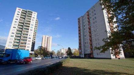 In dieser Siedlung in Spandau wurde ein 55-Jähriger getötet.