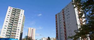 In dieser Siedlung in Spandau wurde ein 55-Jähriger getötet.