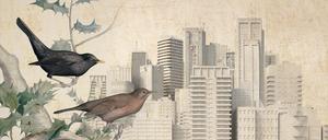 Plate 169 from William MacGillivray's Watercolour drawings of British Animals (1831-1841).
mauritius Images, Germany
Montage: Tagesspiegel | Fotos mauritius Images