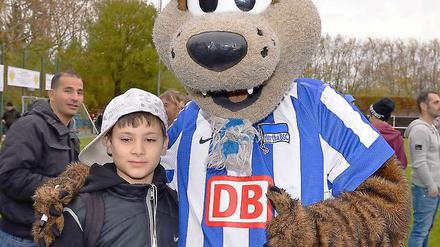 Groß, breit, pelzig. Herthas Maskottchen Herthinho nahm gestern Kontakt zu neuen Fans in Neukölln auf. Auch dort ist er gefragter als mancher Profi.