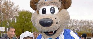 Groß, breit, pelzig. Herthas Maskottchen Herthinho nahm gestern Kontakt zu neuen Fans in Neukölln auf. Auch dort ist er gefragter als mancher Profi.
