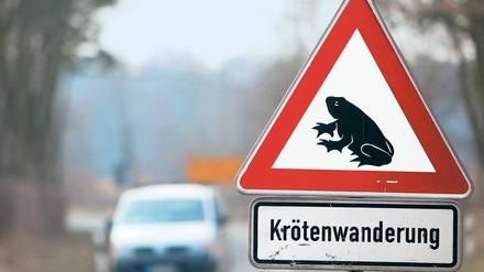 Die Wechselsaison ist in vollem Gang. Wer seine Autoversicherung wechseln will, muss sich bis zum 30. November einen neuen Anbieter suchen. Auch wer den zum Jahreswechsel steigenden Stromkosten ausweichen will, muss jetzt etwas tun. Doch Vorsicht: Lesen Sie die Tarifbedingungen gründlich, damit Ihre Kröten nicht zum Falschen wandern. Foto: pa/dpa
