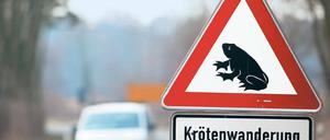Die Wechselsaison ist in vollem Gang. Wer seine Autoversicherung wechseln will, muss sich bis zum 30. November einen neuen Anbieter suchen. Auch wer den zum Jahreswechsel steigenden Stromkosten ausweichen will, muss jetzt etwas tun. Doch Vorsicht: Lesen Sie die Tarifbedingungen gründlich, damit Ihre Kröten nicht zum Falschen wandern. Foto: pa/dpa