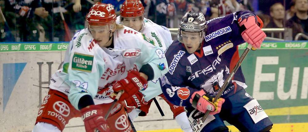 Duell mit hoher Torgarantie. Heute tritt Daniel Brière (r.) mit den Eisbären in Köln an. Das letze Mal siegten die Haie 6:5.