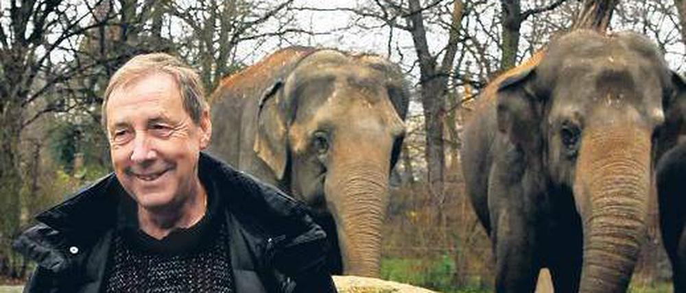 Mit Gefühl. Elefanten haben Sozialsinn, sie kümmern sich umeinander – auch in der freien Wildbahn. Davon konnte Jürgen Lange, Zoodirektor bis 2007, in der Emmauskirche erzählen, wo er zum Buß- und Bettag eingeladen war. Foto: Kitty Kleist-Heinrich