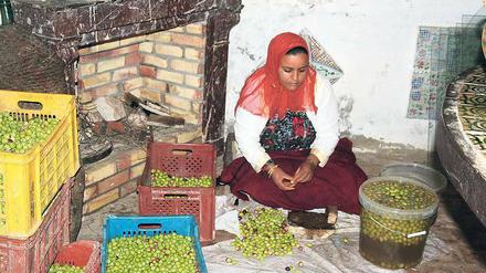 Alles Handarbeit. In Tunesiens erster Öko-Lodge in Dar Zaghouan südlich von Tunis werden unter anderem Oliven auf traditionelle Art verarbeitet.