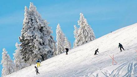 Abwärts geht’s immer. An Baden-Württembergs höchstem Gipfel finden Sportler im Winter ihr Glück. 