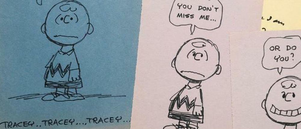 Dokumente der Sehnsucht: Einige der zu ersteigernden Objekte.