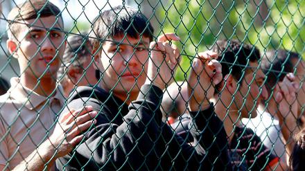 In einer Infobroschüre stellt das Bundesamt für Migration und Flüchtlinge die Mehrheit der Asylbewerber als Sozialschmarotzer dar.