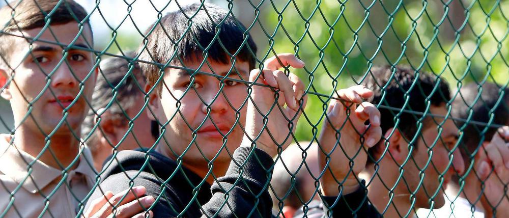 In einer Infobroschüre stellt das Bundesamt für Migration und Flüchtlinge die Mehrheit der Asylbewerber als Sozialschmarotzer dar.