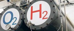 Wind zu Wasserstoff. Im Hybridkraftwerk in Prenzlau (Uckermark) werden Brennstoffzellen mit Windkraft geladen. Mit ihrer Energie kann man etwa Autos grün betanken. Die lokale Firma Enertrag verkaufte so ein Kraftwerk nun nach Frankreich.