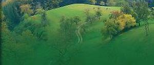 Johannes Schweikle: Westwegs. Über den Schwarzwald. Zu Fuß durch eine deutsche Landschaft.