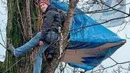 Protest von oben. Die Baumbesetzer wollen vorerst in ihrer Krone bleiben. Foto: Abix