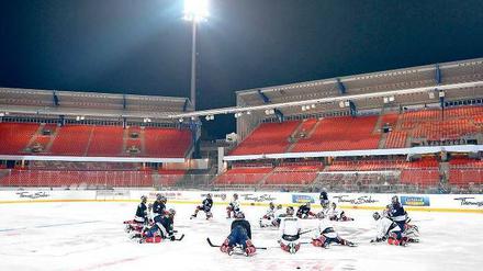 Alles so schön groß hier. Die Eisbären beim Training auf der Kunsteisfläche im Frankenstadion. 