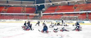 Alles so schön groß hier. Die Eisbären beim Training auf der Kunsteisfläche im Frankenstadion. 