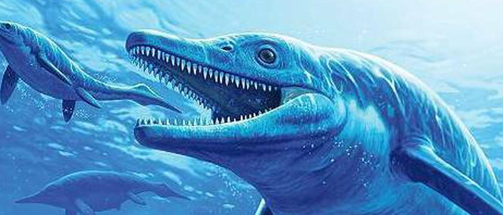 Auf der Jagd. So stellt sich ein Künstler den Saurier vor, der vor 244 Millionen Jahren durchs Wasser schoss.