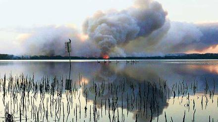 Erst am Wasser kommt die Flammenwand zum Stehen. Das Foto wurde in New South Wales aufgenommen. 