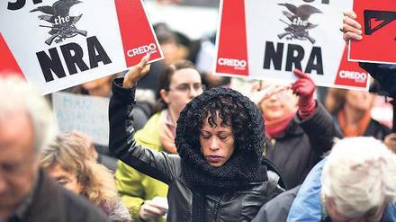 Mit unsensiblen Äußerungen macht sie es ihren Gegnern immer wieder leicht: Die National Rifle Association (NRA), Institution der US-Waffenlobby, war nach dem Massaker in Newtown im Dezember Gegenstand der Proteste. Foto: Jim Lo Scalzo/dpa