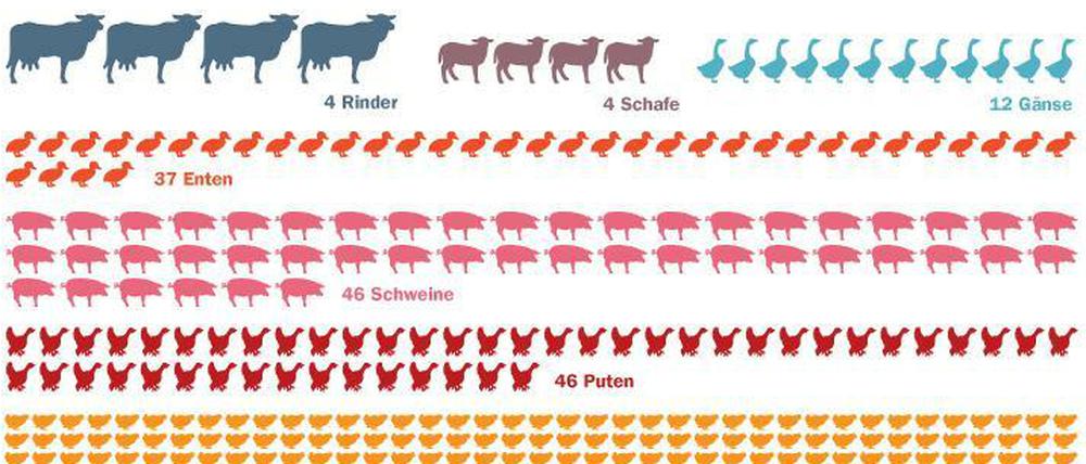 Deutscher Durchschnittsverzehr im Laufe eines Lebens