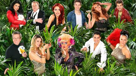 Die elf Kandidaten der siebten Staffel der RTL-Show "Ich bin ein Star - Holt mich hier raus". oben v.li.: Iris Klein, Helmut Berger, Fiona Erdmann, Joey Heindle, Georgina, Patrick Nuo: unten v.li.: Arno Funke, Claudelle Deckert, Olivia Jones, Silva Gonzales, Allegra Curtis