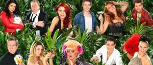Die elf Kandidaten der siebten Staffel der RTL-Show "Ich bin ein Star - Holt mich hier raus". oben v.li.: Iris Klein, Helmut Berger, Fiona Erdmann, Joey Heindle, Georgina, Patrick Nuo: unten v.li.: Arno Funke, Claudelle Deckert, Olivia Jones, Silva Gonzales, Allegra Curtis