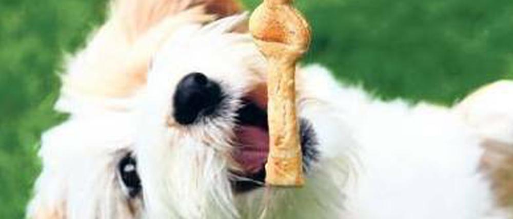 Weil die Preise für Rohstoffe wie Getreide steigen, müssen Hundehalter auch fürs Futter mehr bezahlen. 