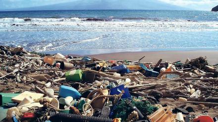 Strandgut der Zivilation. Die Weltmeere und ihre Bewohner ersticken zunehmend am Müll, der noch immer oft einfach über Bord geworfen wird. 
