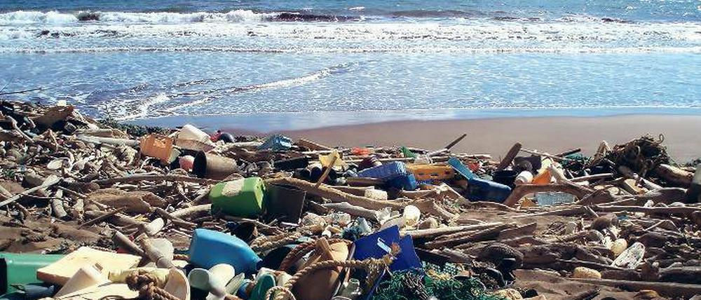 Strandgut der Zivilation. Die Weltmeere und ihre Bewohner ersticken zunehmend am Müll, der noch immer oft einfach über Bord geworfen wird. 