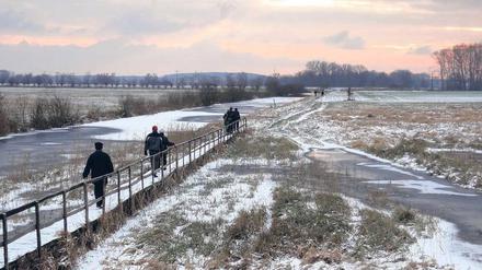 Der Januar ist puderfarben. Im Naturpark Westhavelland blicken Spaziergänger weit über die flache Landschaft. Damit die Besucher keine nassen Füße bekommen, wurden lange Holzstege gebaut.