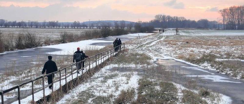 Der Januar ist puderfarben. Im Naturpark Westhavelland blicken Spaziergänger weit über die flache Landschaft. Damit die Besucher keine nassen Füße bekommen, wurden lange Holzstege gebaut.