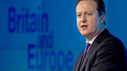 Kündigt ein Referendum an: David Cameron.