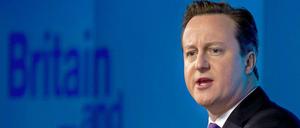 Kündigt ein Referendum an: David Cameron.